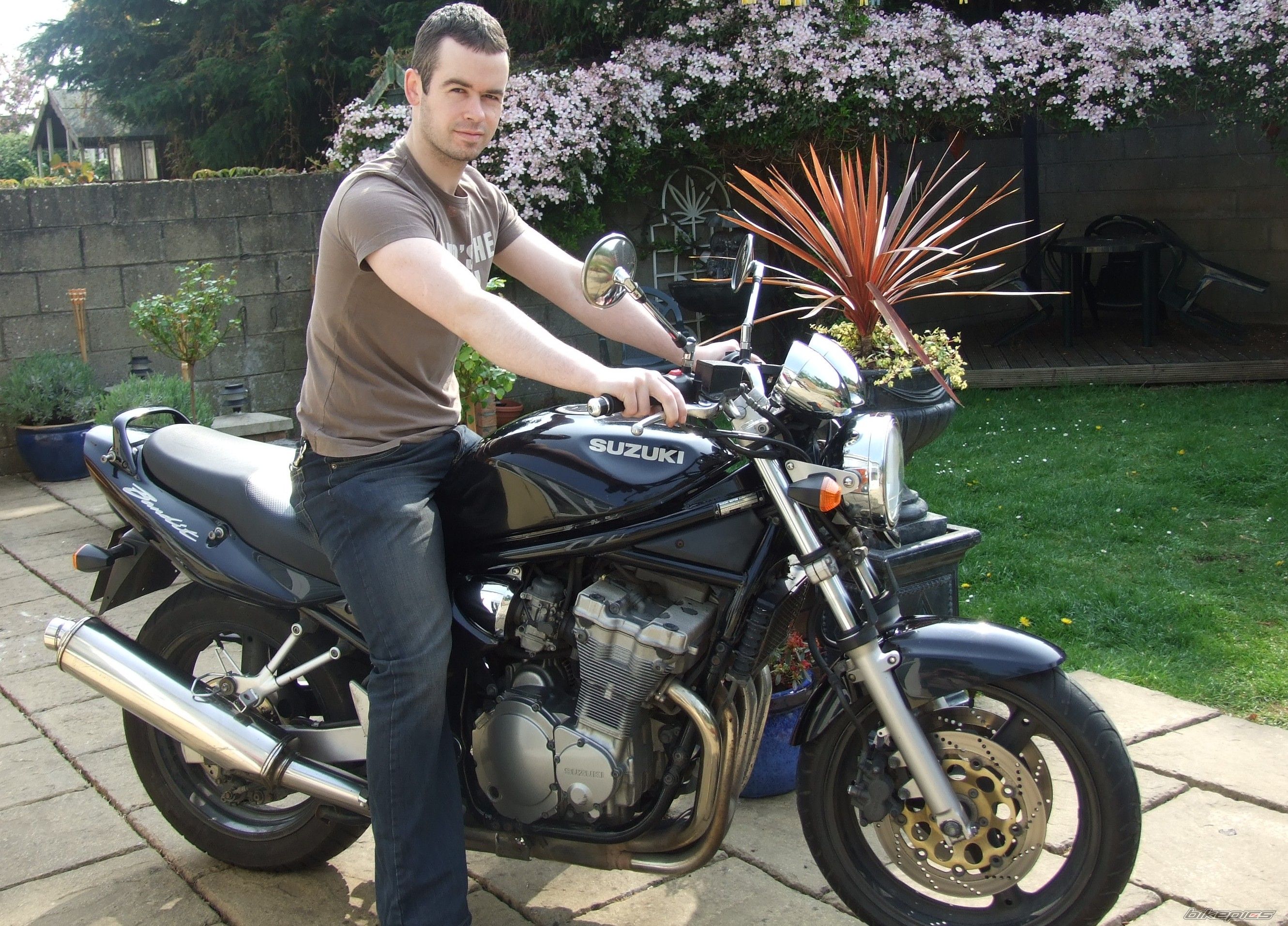 2001 SUZUKI BANDIT 600 | Picture 879481 motorcycle photo