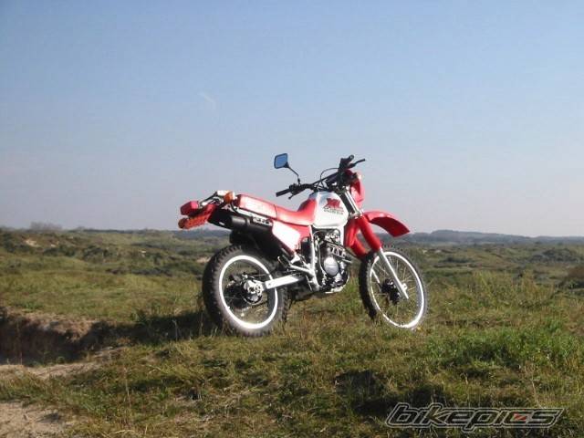 1987 HONDA XL 250 | Picture 87957 motorcycle photo