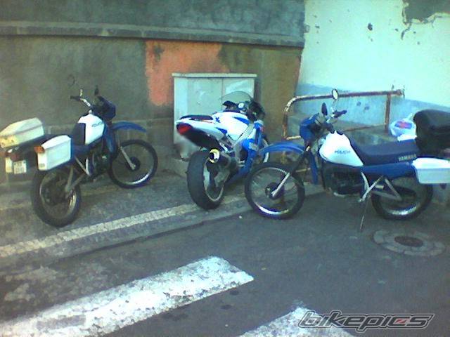 2002 SUZUKI GSX R 600 | Picture 88011 motorcycle photo