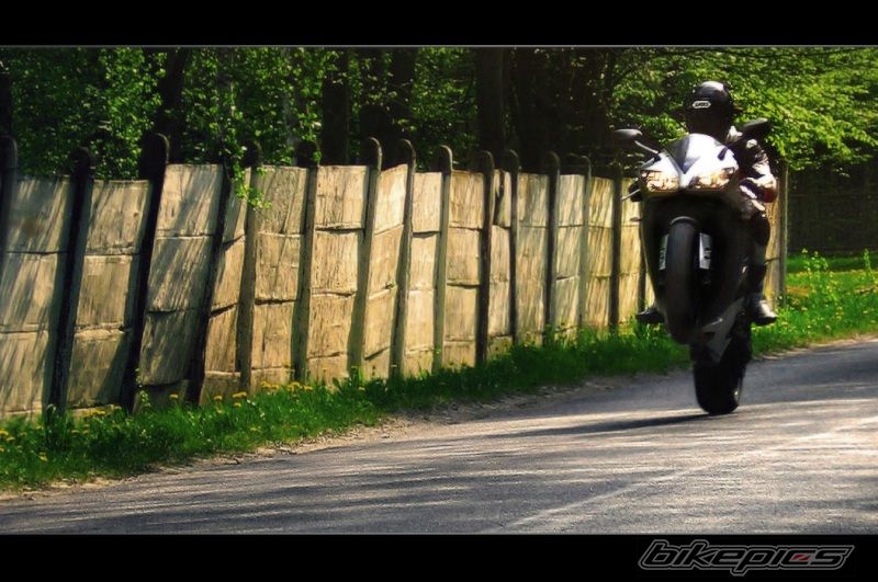 2003 YAMAHA YZF R1 | Picture 880301 motorcycle photo