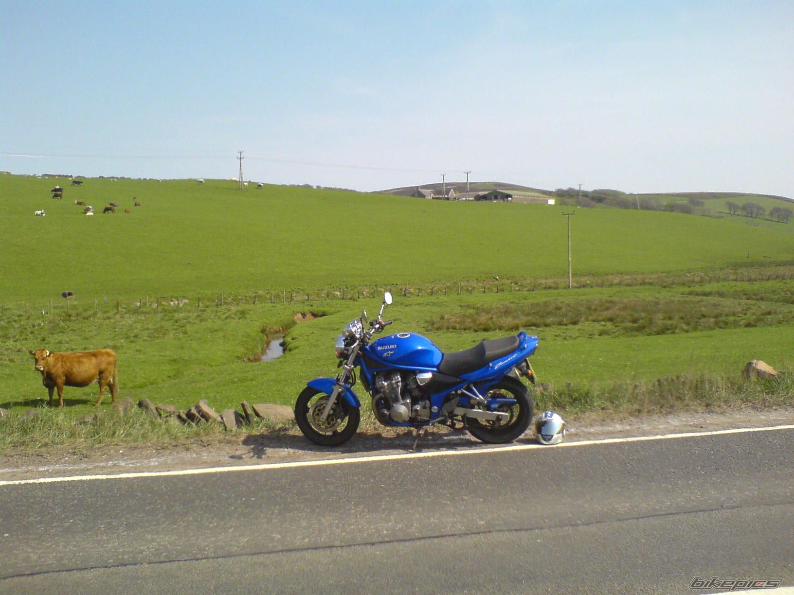 2005 SUZUKI BANDIT 600 | Picture 880324 motorcycle photo