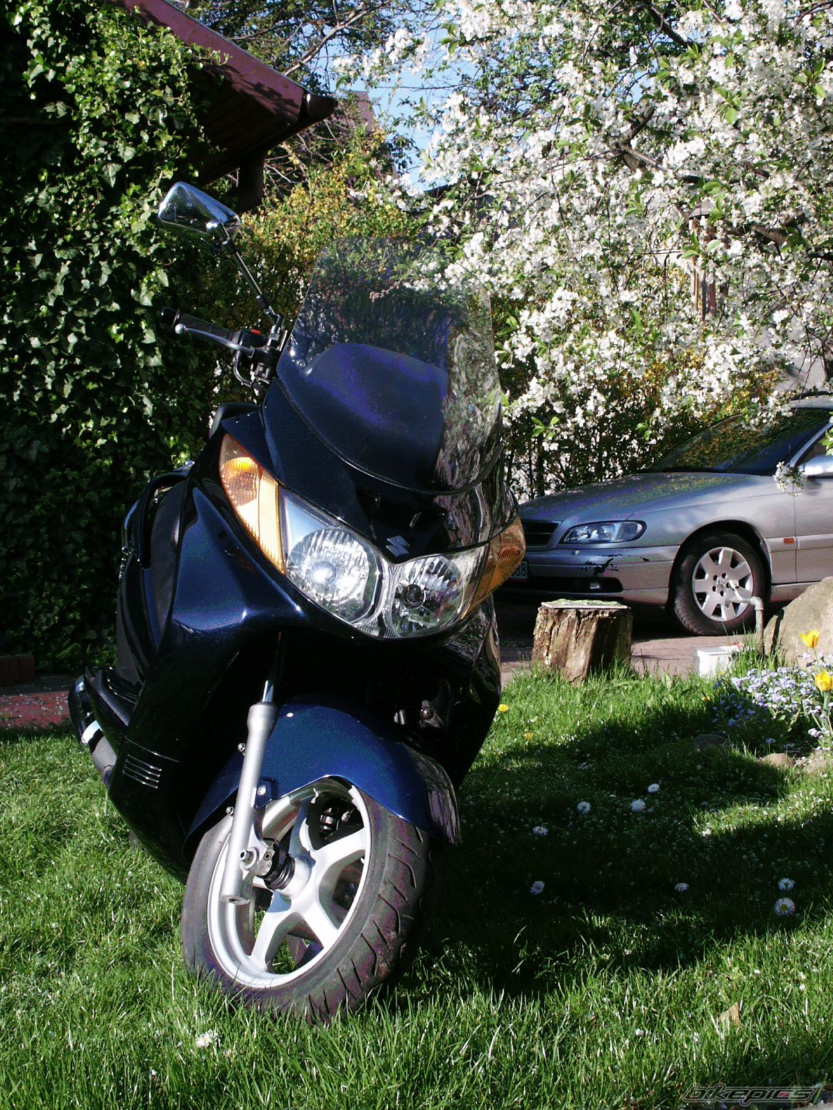 2004 SUZUKI BURGMAN 400 | Picture 880480 motorcycle photo