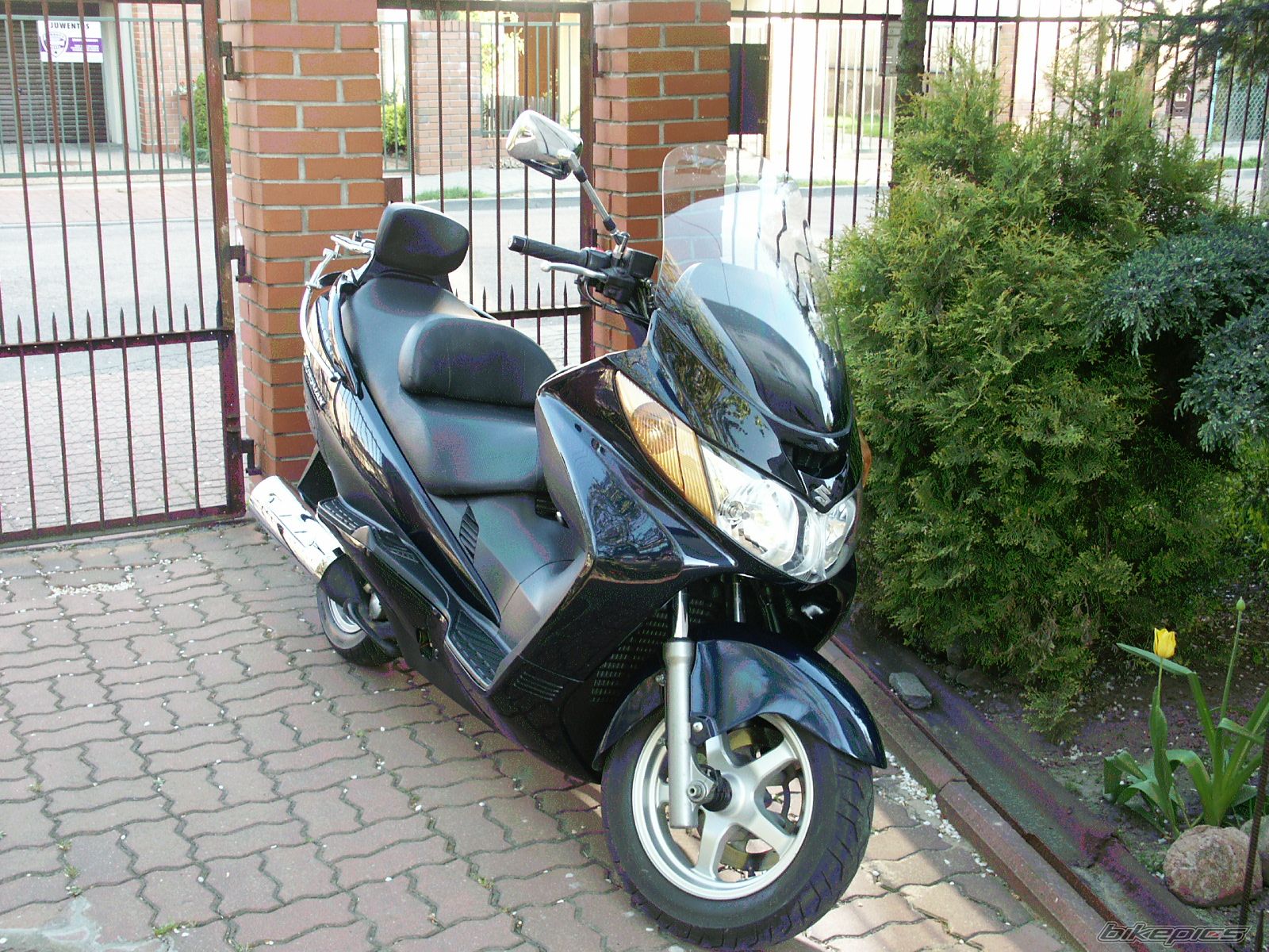 2004 SUZUKI BURGMAN 400 | Picture 880503 motorcycle photo