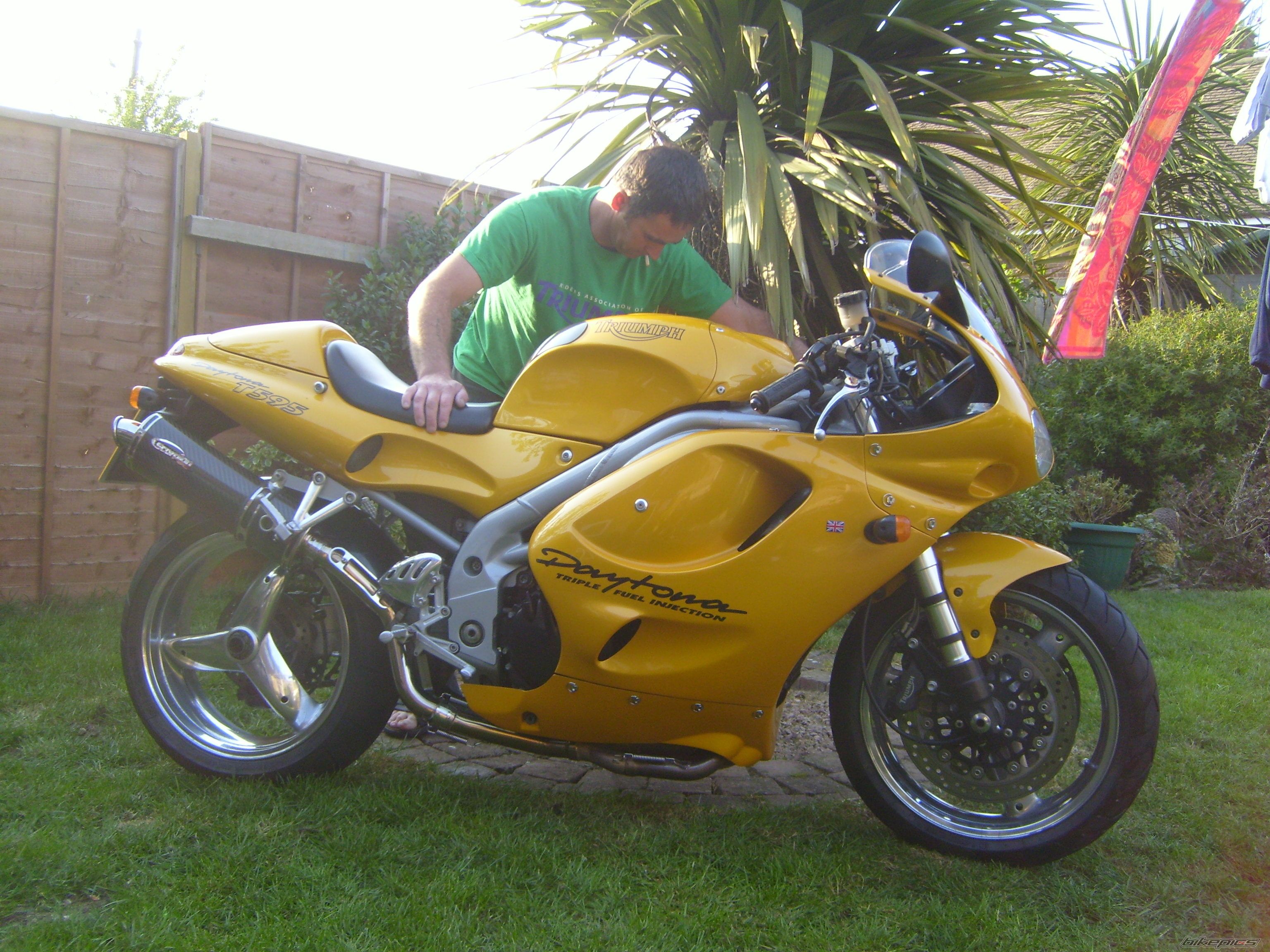 1998 TRIUMPH T 595 | Picture 880839 motorcycle photo