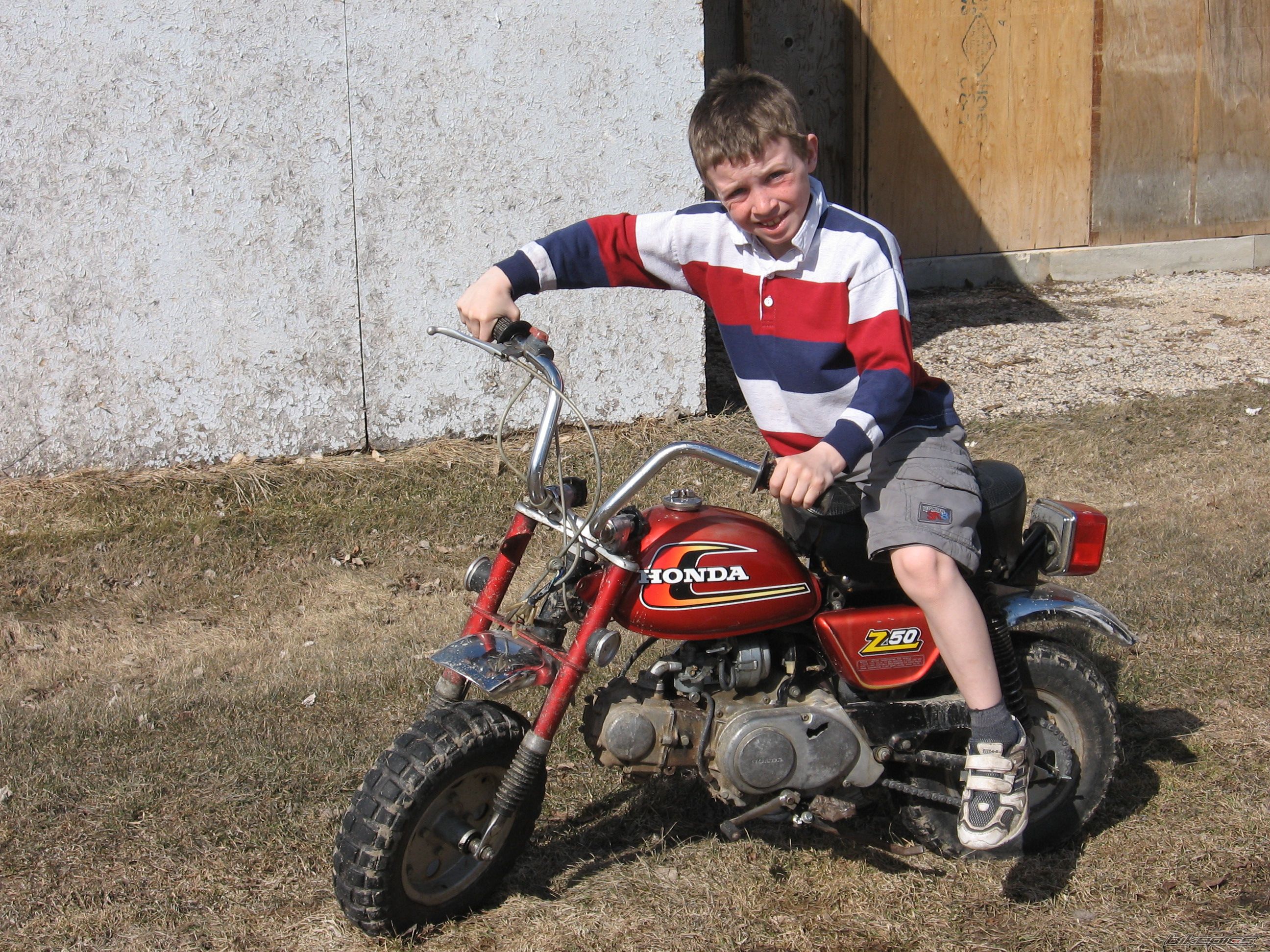 1975 HONDA Z 50 | Picture 881079 motorcycle photo