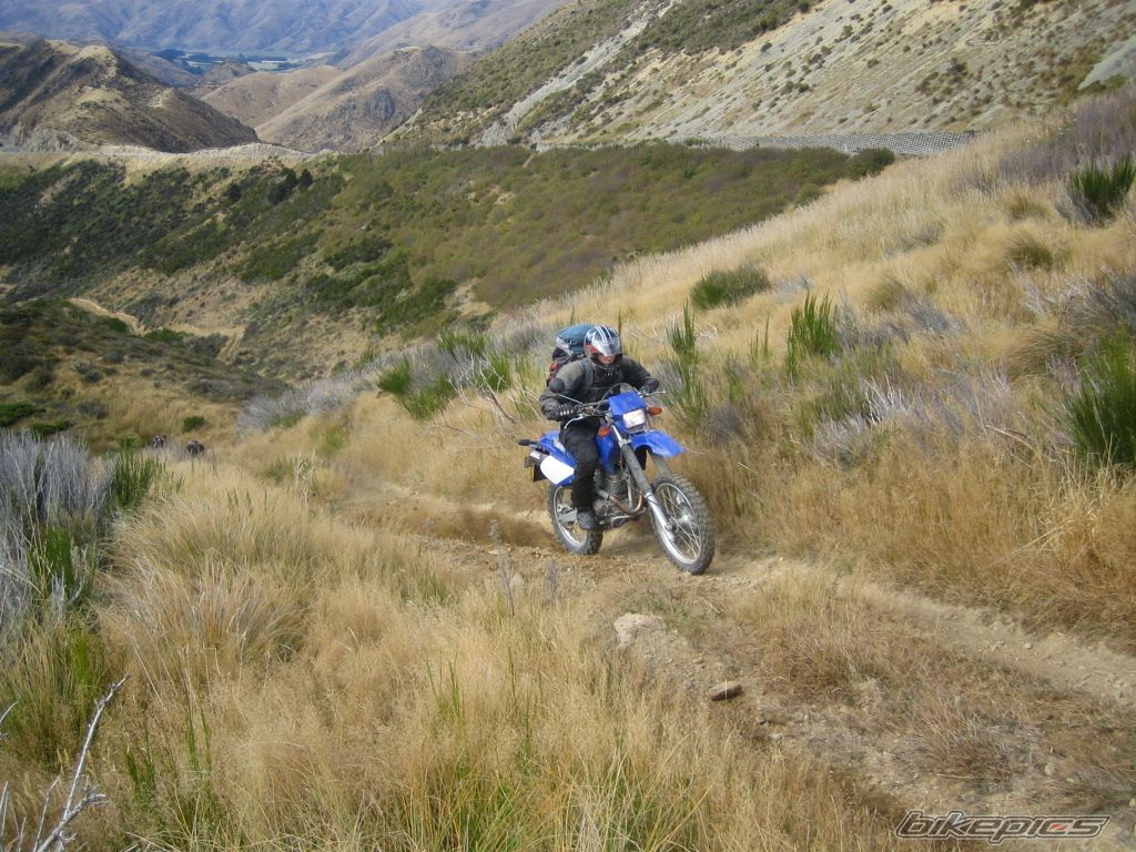 2002 YAMAHA TTR 250 | Picture 881091 motorcycle photo
