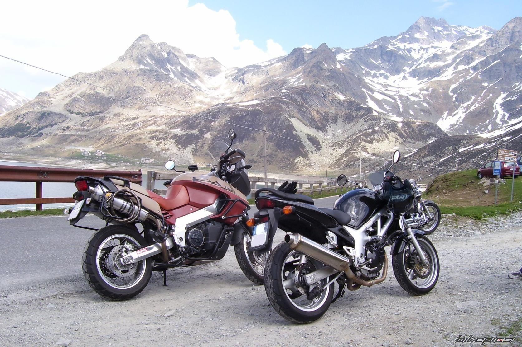 2002 SUZUKI SV 650 | Picture 881254 motorcycle photo