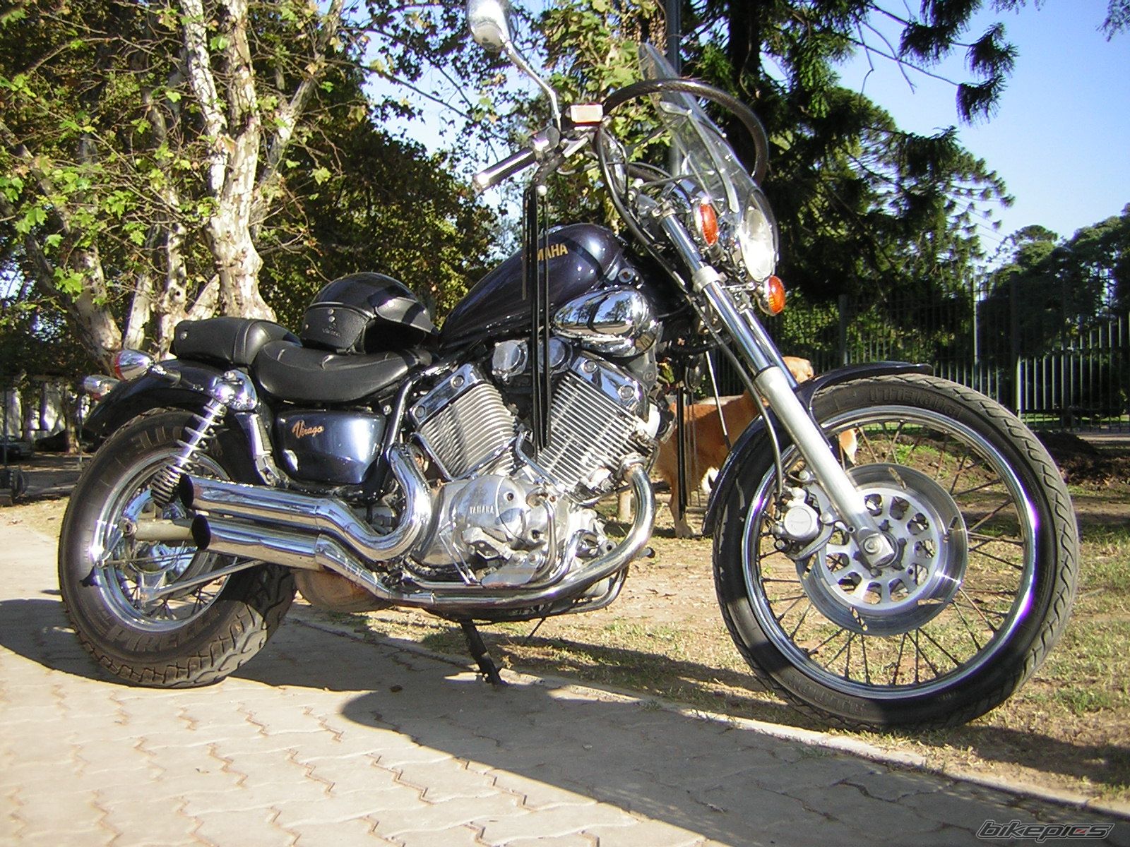 1993 YAMAHA VIRAGO 535 | Picture 881453 motorcycle photo