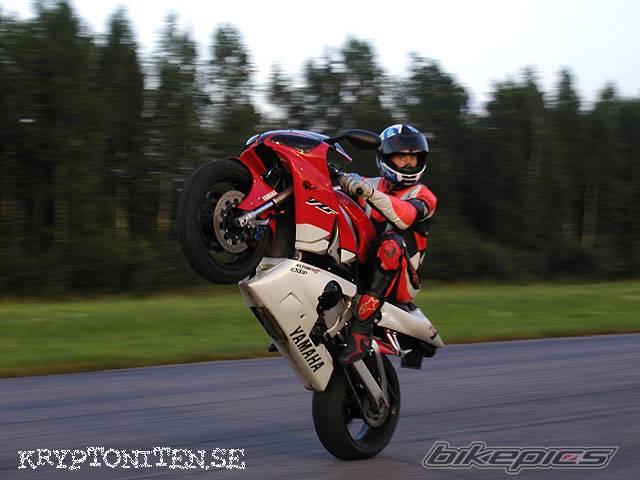 1999 YAMAHA YZF R1 | Picture 88165 motorcycle photo