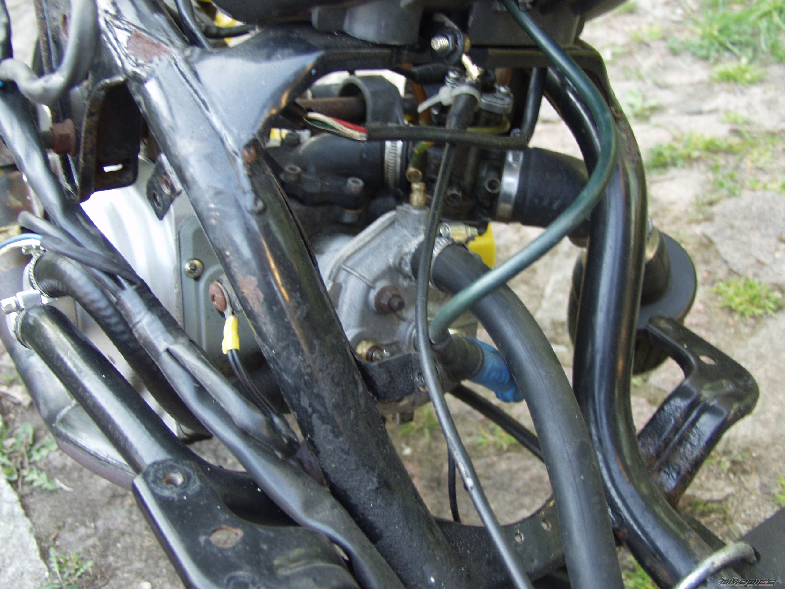 2005 MALAGUTI F 10 50 | Picture 881657 motorcycle photo