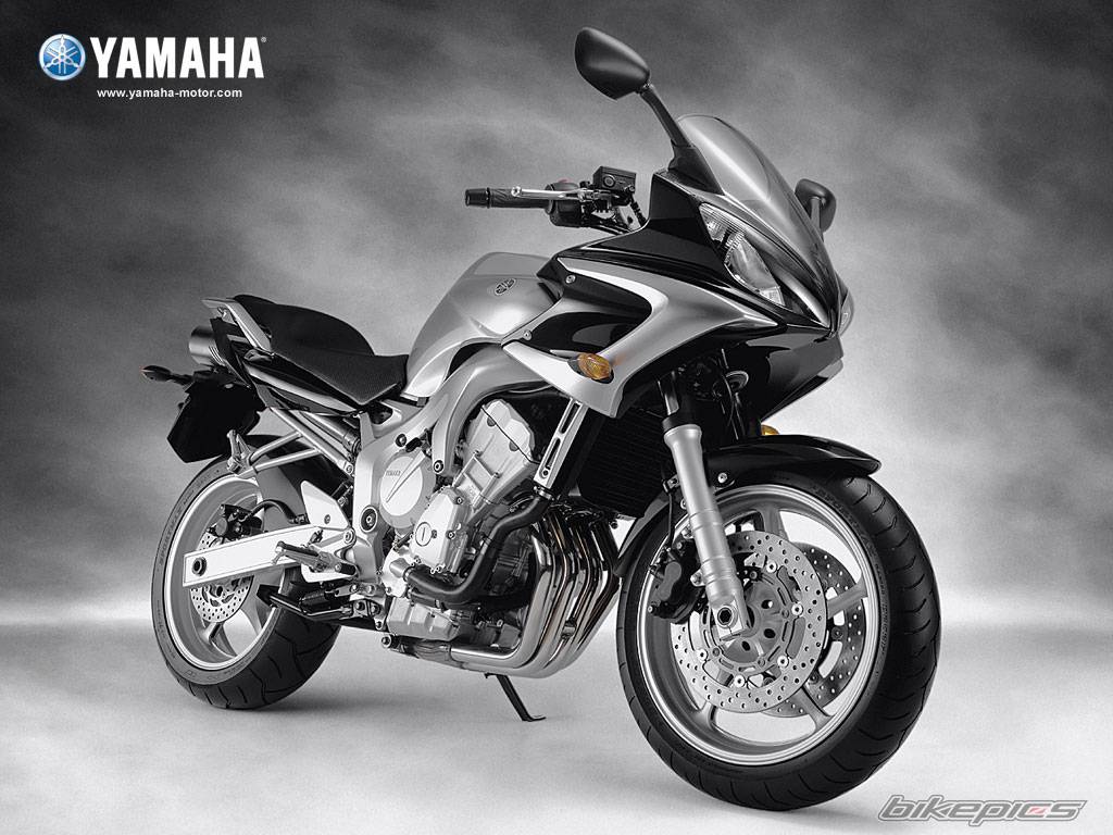 2004 YAMAHA FZ6 FAZER | Picture 88167 motorcycle photo