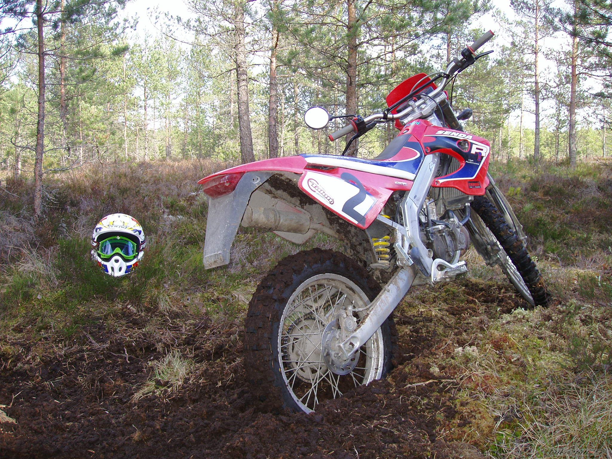 2003 DERBI SENDA R 50 | Picture 881928 motorcycle photo