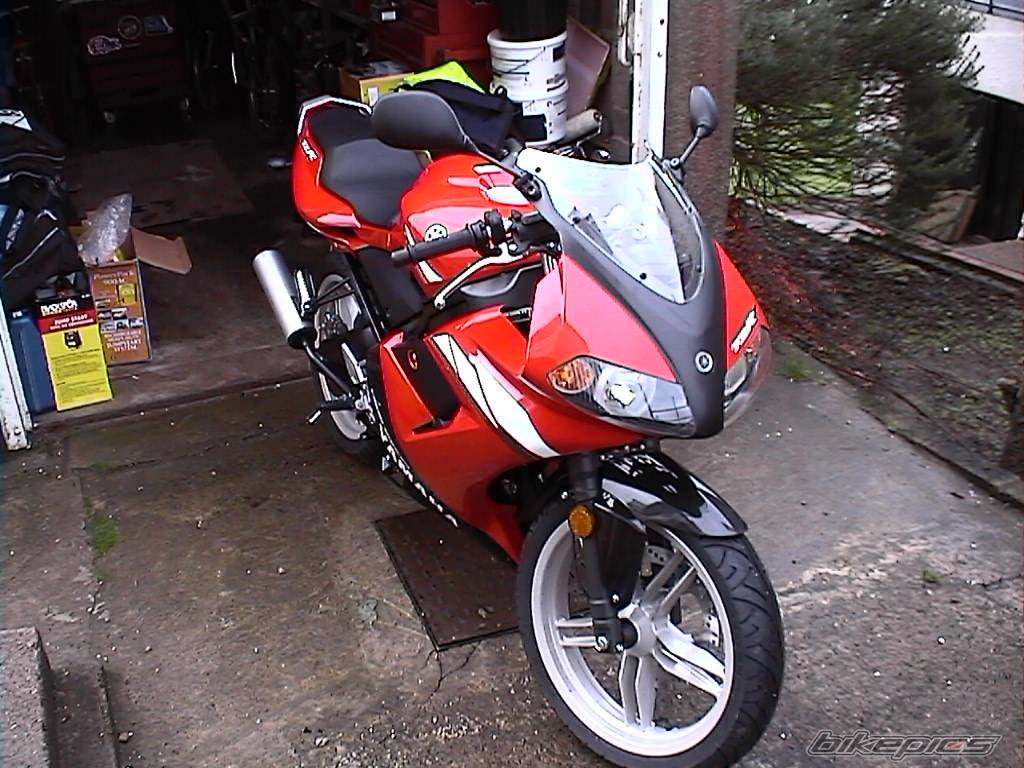 2004 YAMAHA TZR 50 | Picture 88220 motorcycle photo