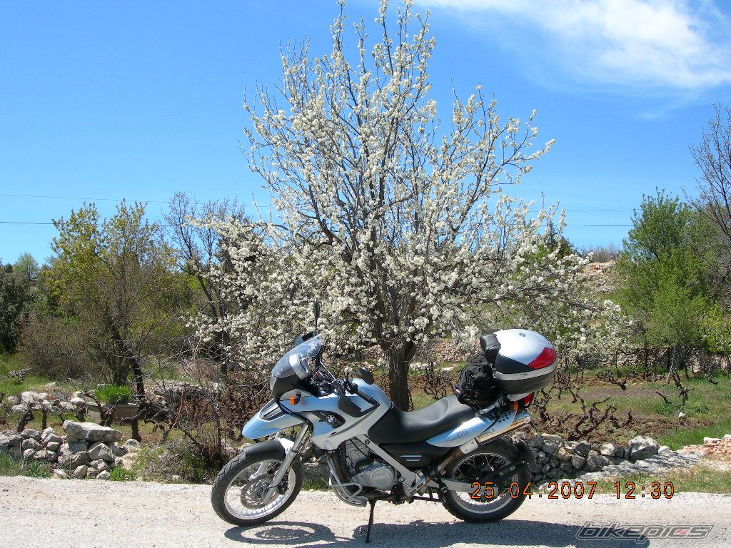 2004 BMW F 650 GS | Picture 882444 motorcycle photo
