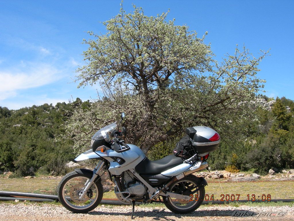 2004 BMW F 650 GS | Picture 882453 motorcycle photo