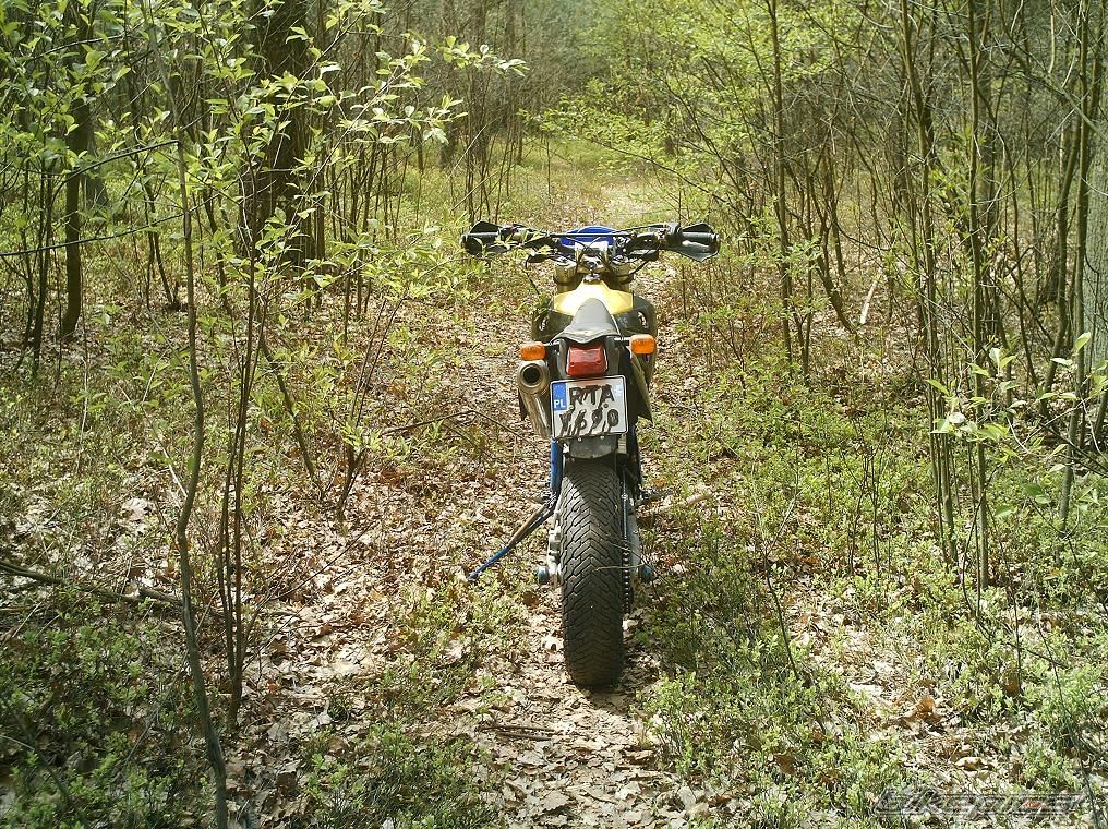 2003 HUSABERG FE 501 | Picture 882630 motorcycle photo