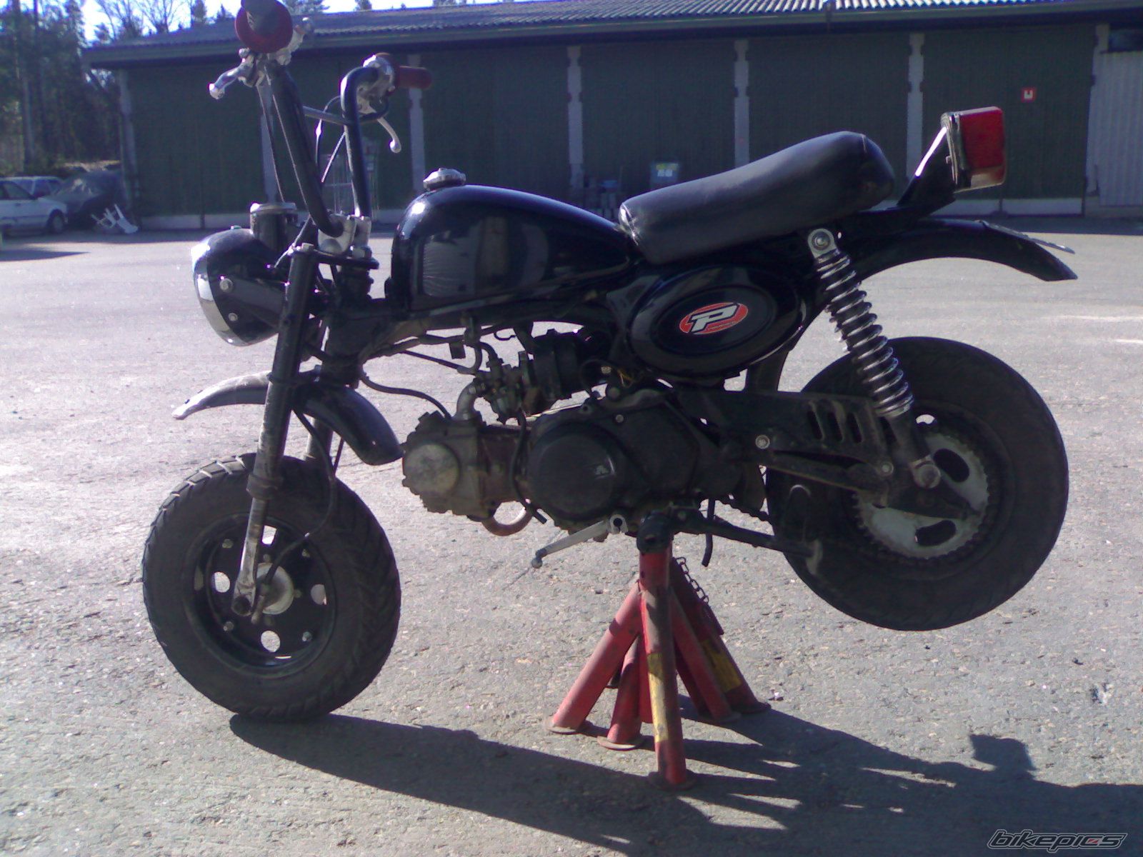 1989 HONDA Z 50 | Picture 882640 motorcycle photo