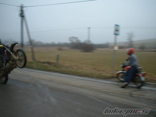 1993 APRILIA RX 125 | Picture 88266 motorcycle photo