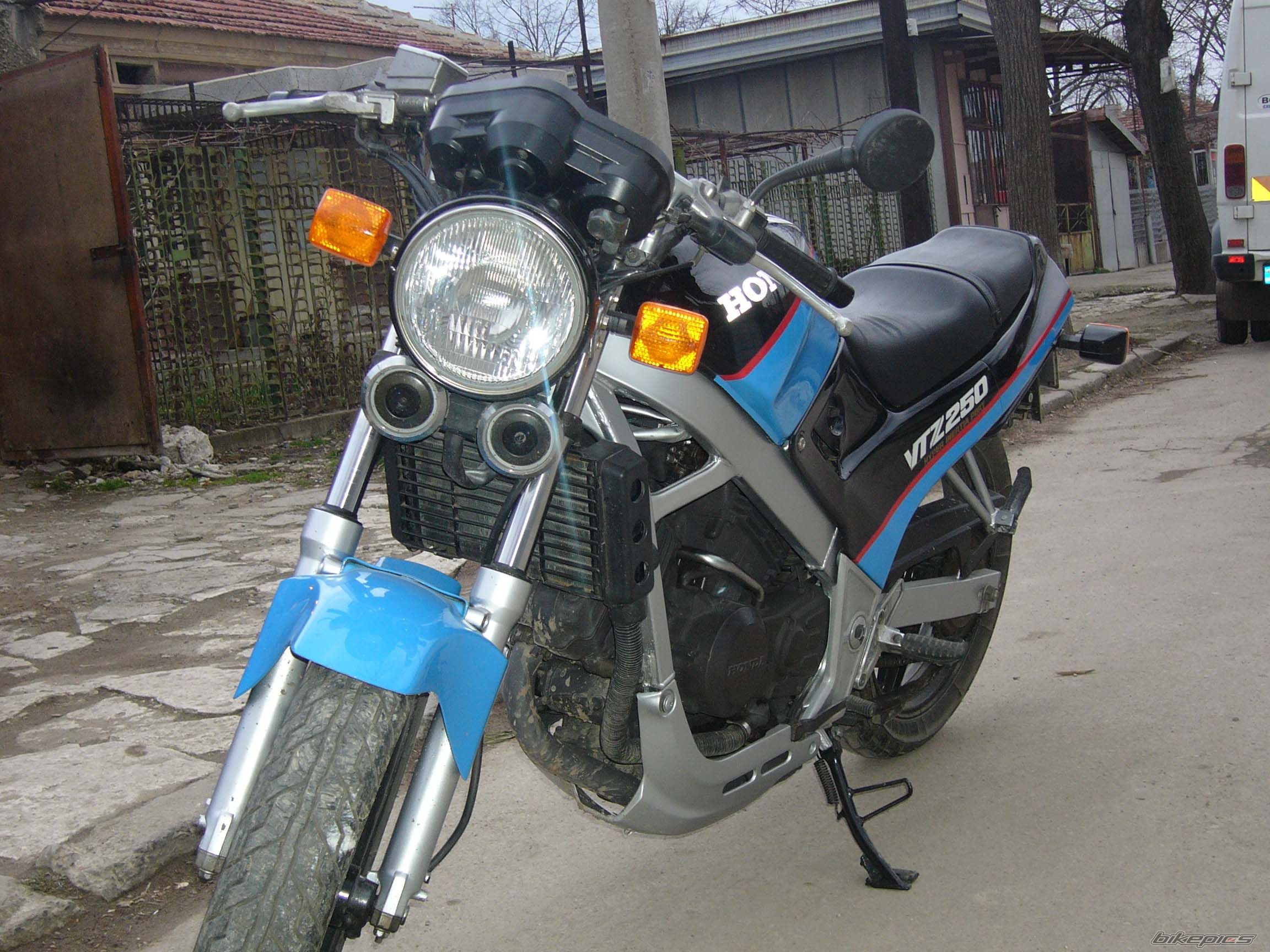 1991 HONDA VTZ 250 | Picture 882690 motorcycle photo