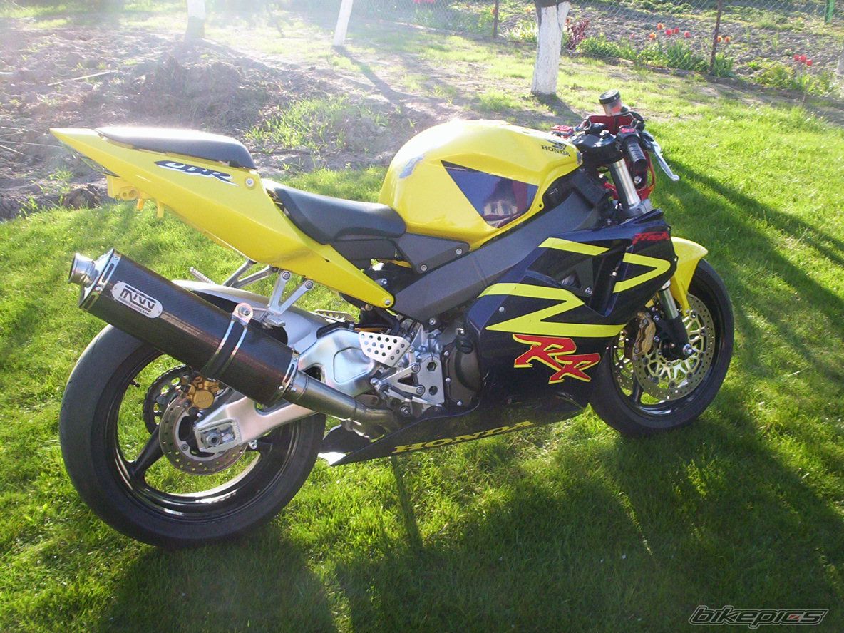 2002 HONDA CBR 900 | Picture 882980 motorcycle photo