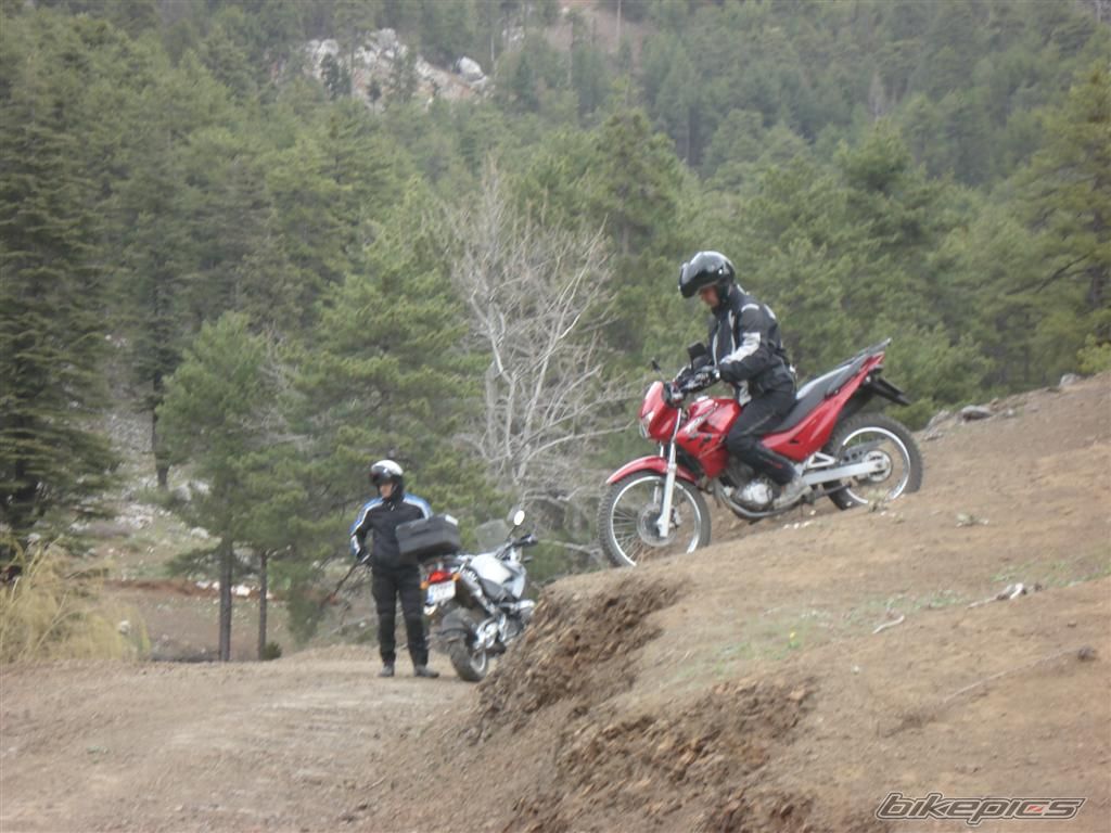 2004 HONDA NX 4 FALCON | Picture 883326 motorcycle photo