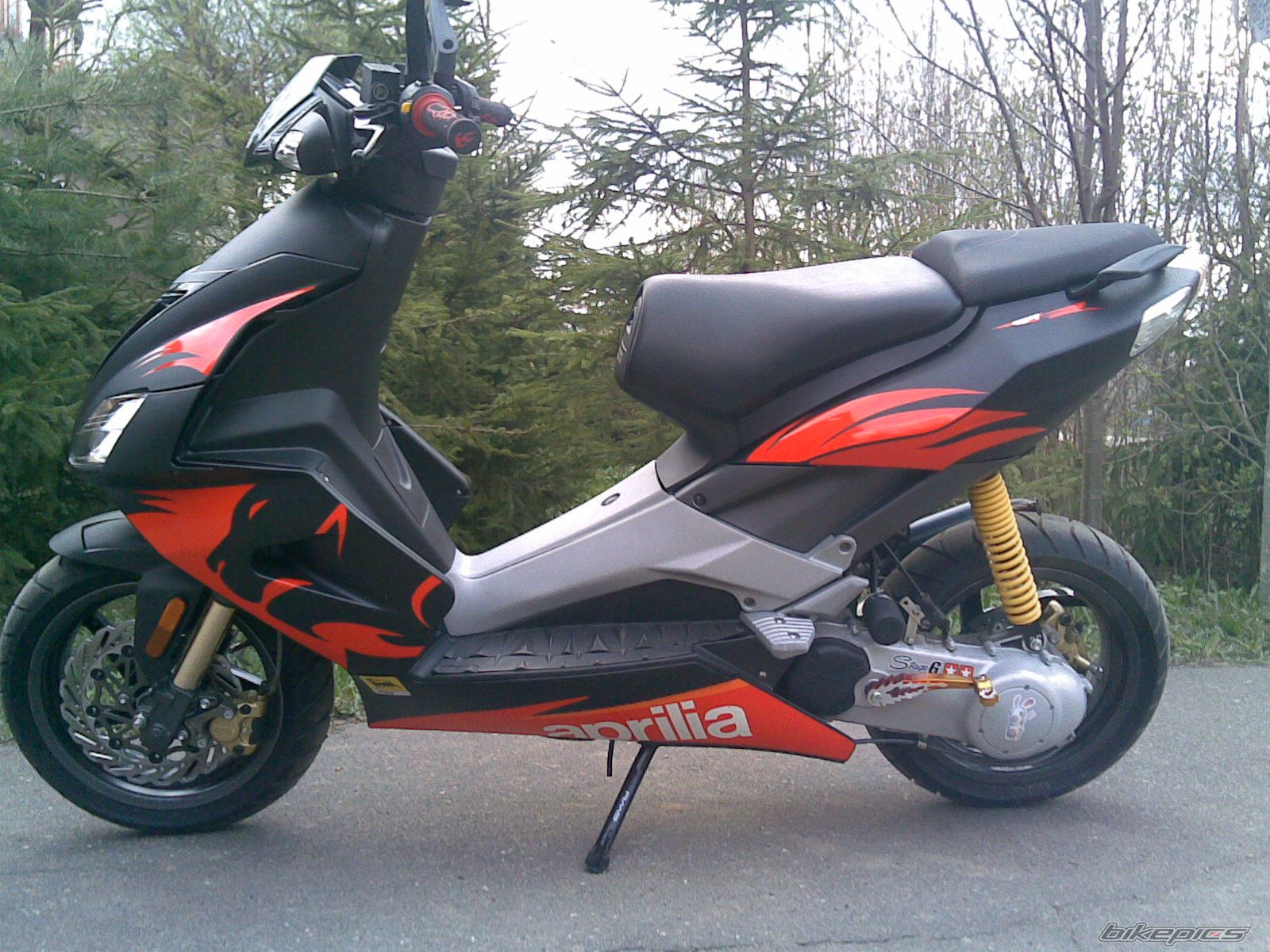 2007 APRILIA SR 50 | Picture 883461 motorcycle photo