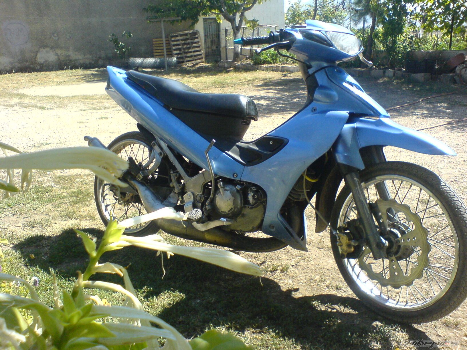 2007 YAMAHA Z 125 | Picture 884153 motorcycle photo
