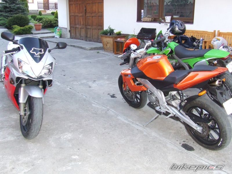 2003 HONDA CBR 600 FS | Picture 885097 motorcycle photo
