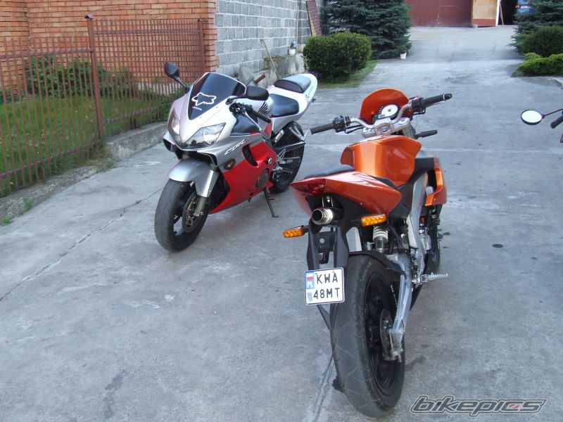 2003 HONDA CBR 600 FS | Picture 885099 motorcycle photo