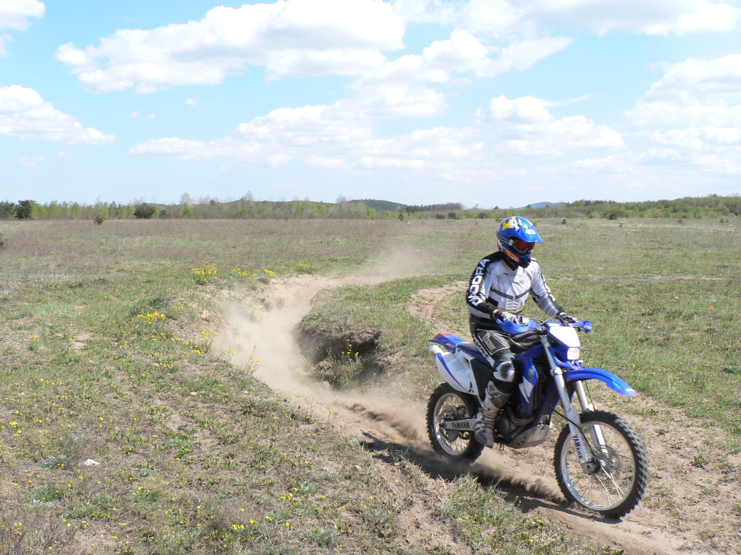 2003 YAMAHA WR 250F | Picture 885160 motorcycle photo
