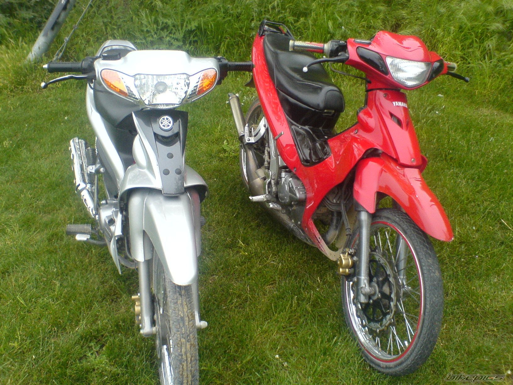 2007 YAMAHA CRYPTON R 04 | Picture 885206 motorcycle photo