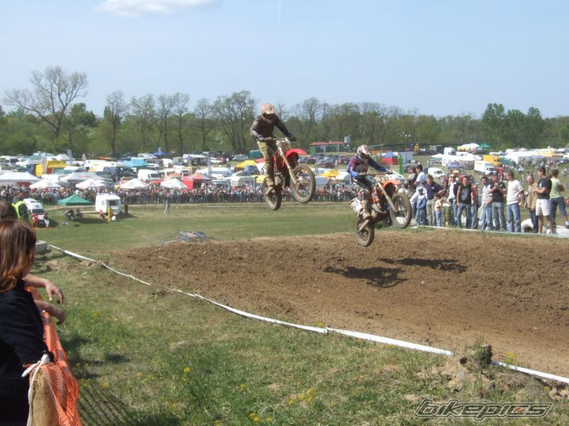 2007 KTM 450 SX | Picture 885545 motorcycle photo