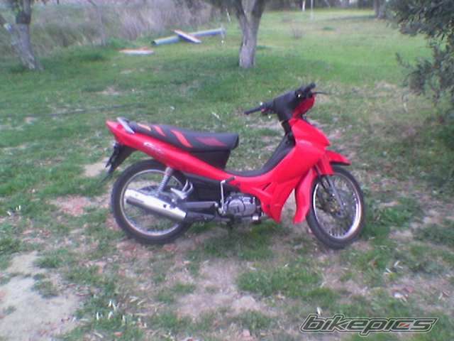 2005 YAMAHA CRYPTON R 115 | Picture 885677 motorcycle photo