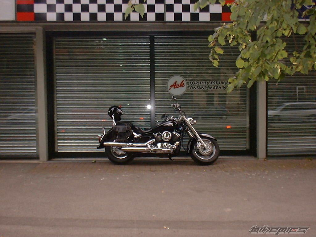 1998 YAMAHA XVS 650 DRAG STAR CLASSIC | Picture 885838 motorcycle photo