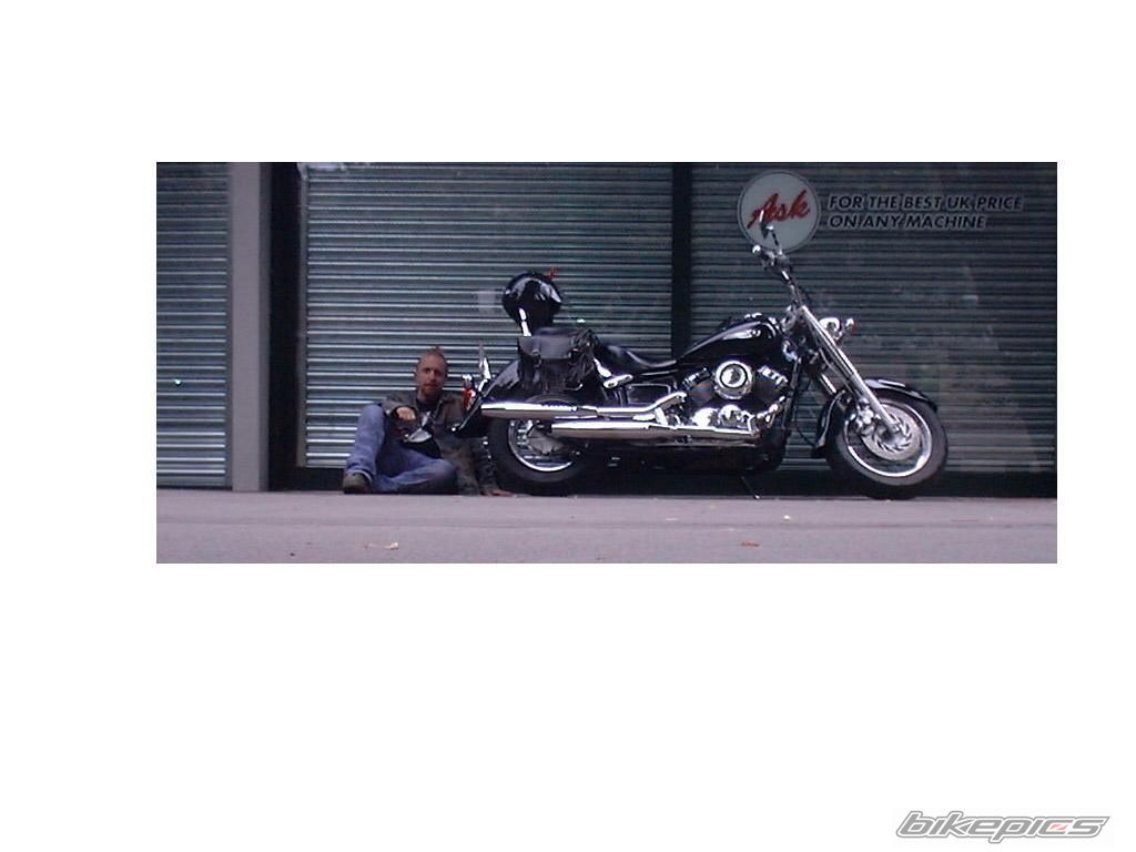 1998 YAMAHA XVS 650 DRAG STAR CLASSIC | Picture 885839 motorcycle photo