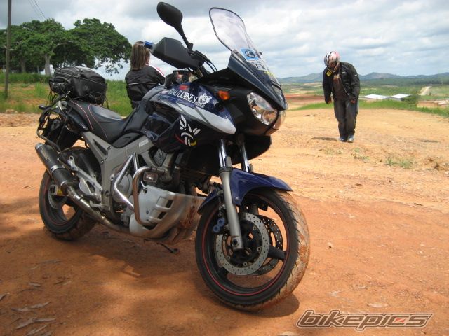 2003 YAMAHA TDM 900 | Picture 886247 motorcycle photo