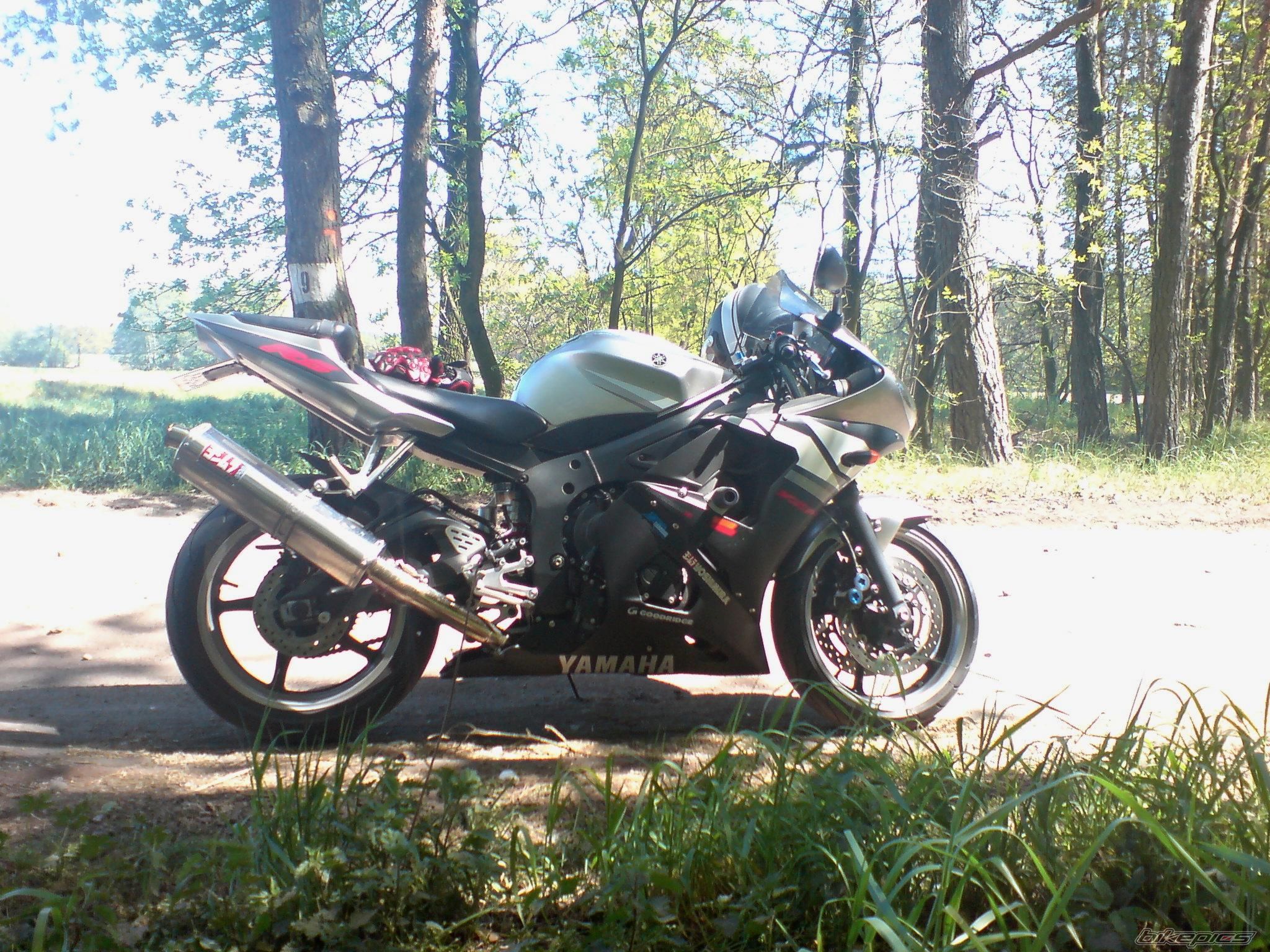 2003 YAMAHA YZF R6 | Picture 886365 motorcycle photo