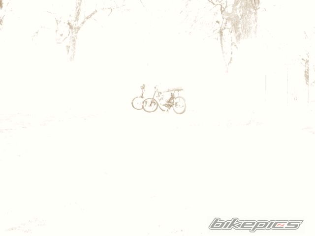 2007 ROMET CHART 210 | Picture 886473 motorcycle photo