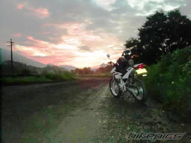 2007 HONDA NXR 125 | Picture 887713 motorcycle photo
