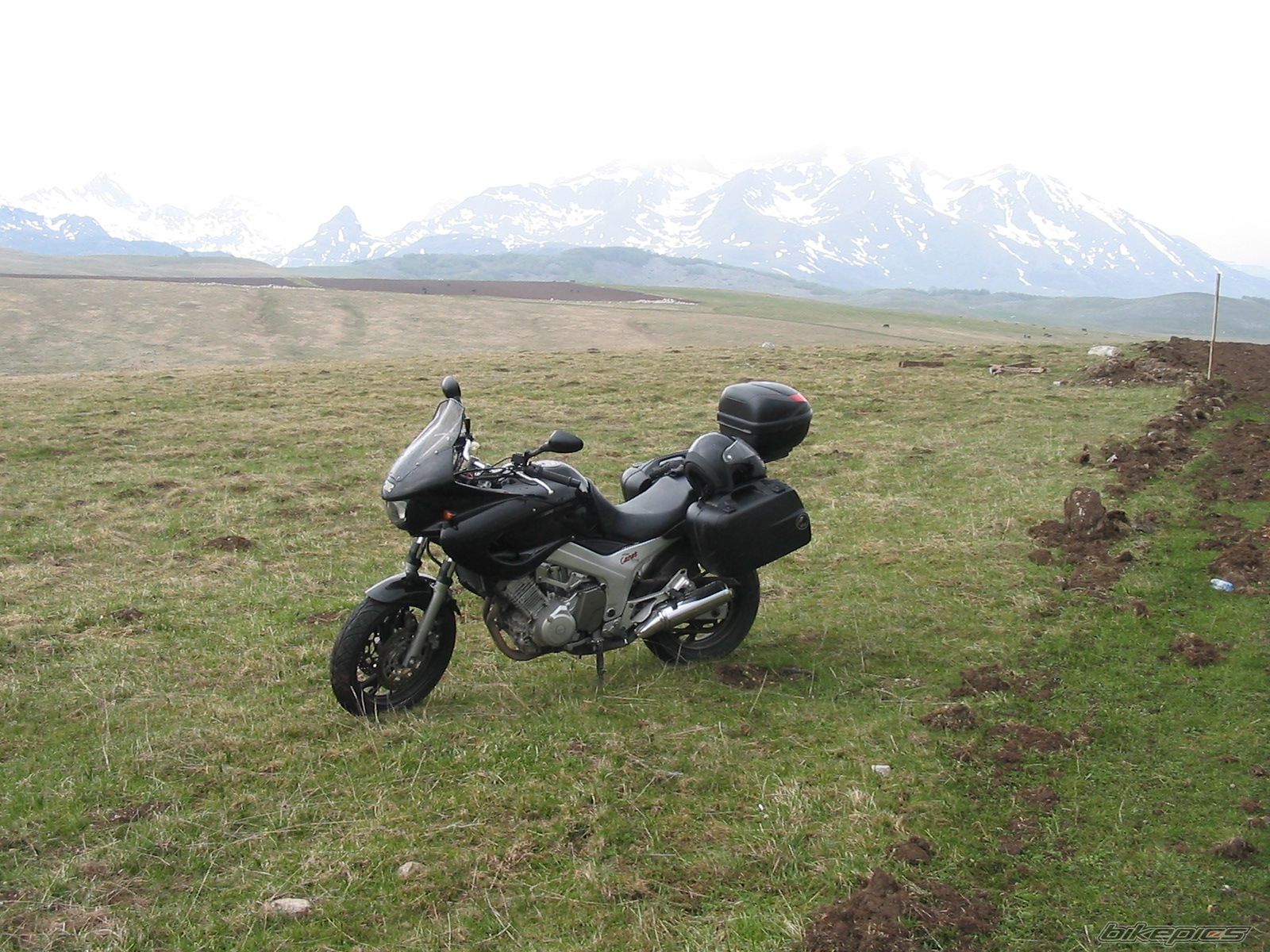 2001 YAMAHA TDM 850 | Picture 887817 motorcycle photo