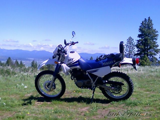 2000 YAMAHA XT 350 | Picture 887989 motorcycle photo