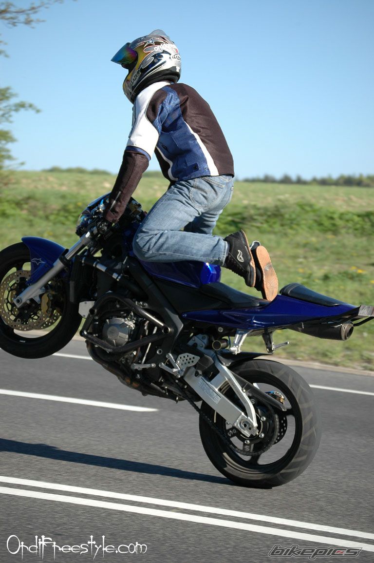 2003 HONDA CBR 600 RR | Picture 888126 motorcycle photo