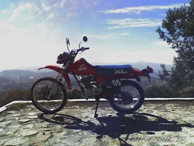 1985 HONDA XL 100 | Picture 888360 motorcycle photo