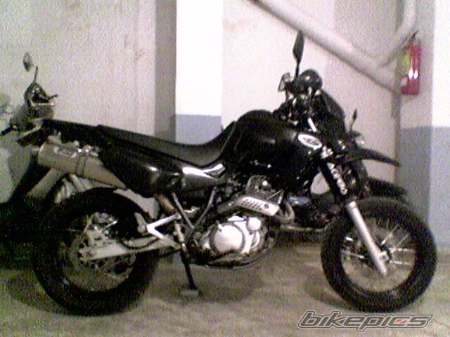 2003 YAMAHA XT 600 | Picture 888609 motorcycle photo