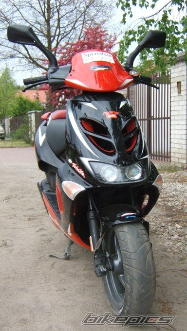 2002 APRILIA SR RACING 50 | Picture 888773 motorcycle photo
