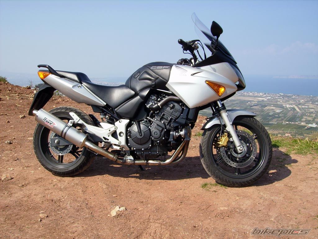 2004 HONDA CBF 600 | Picture 888777 motorcycle photo