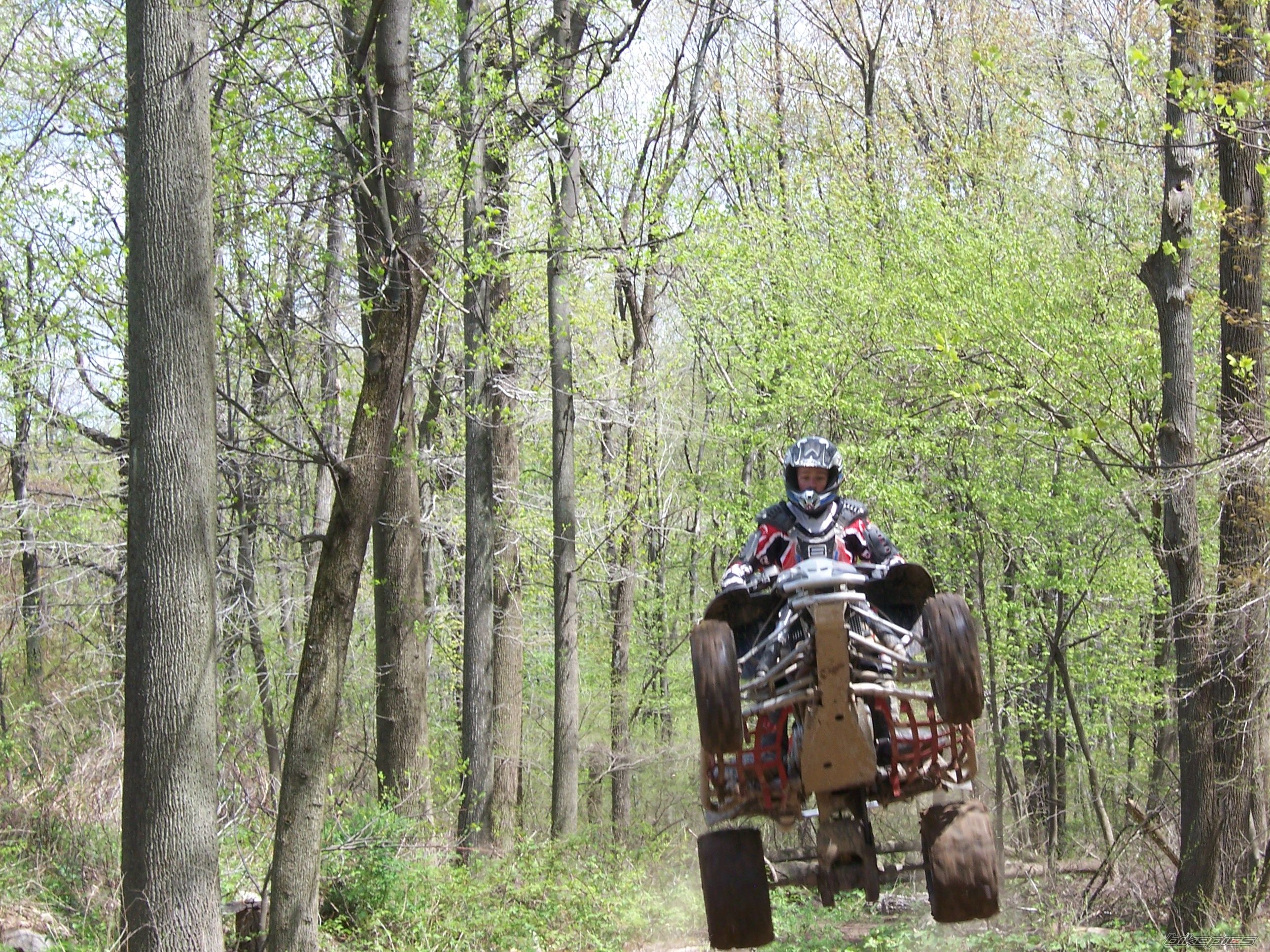 2003 POLARIS PREDATOR 500 | Picture 889152 motorcycle photo