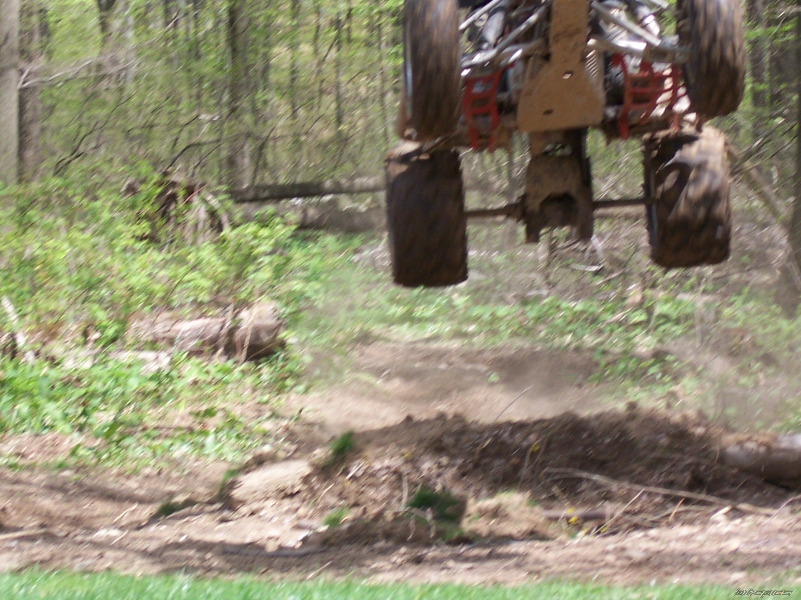 2003 POLARIS PREDATOR 500 | Picture 889163 motorcycle photo