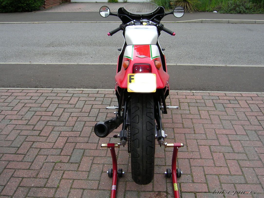 1988 DUCATI 400 F3 | Picture 889285 motorcycle photo