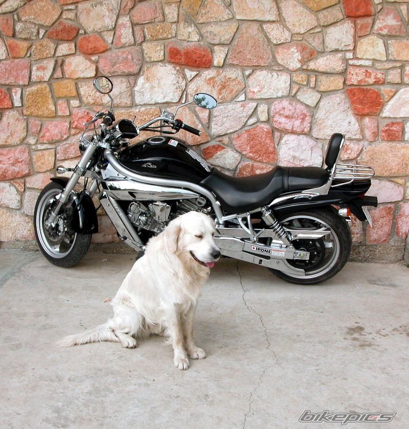 2007 HYOSUNG AQUILA GV 650 | Picture 889602 motorcycle photo